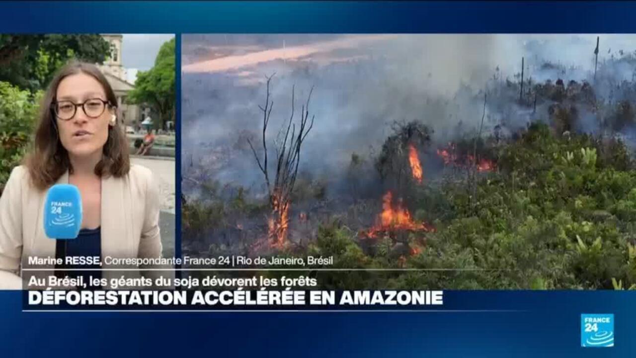 Au Brésil, les géants du soja quittent le moratoire contre la déforestation