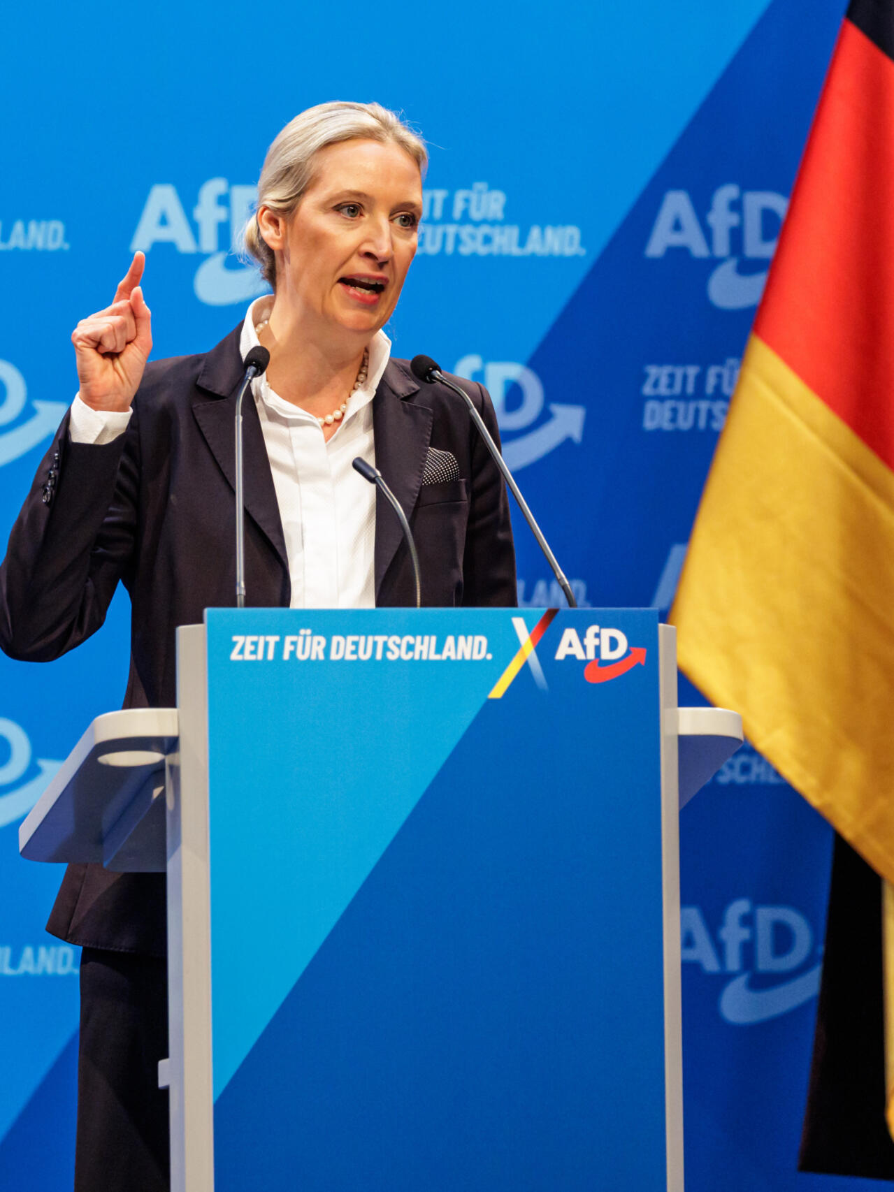 Perfect fig leaf': German AfD leader Alice Weidel helps 'normalise' her  far-fight party