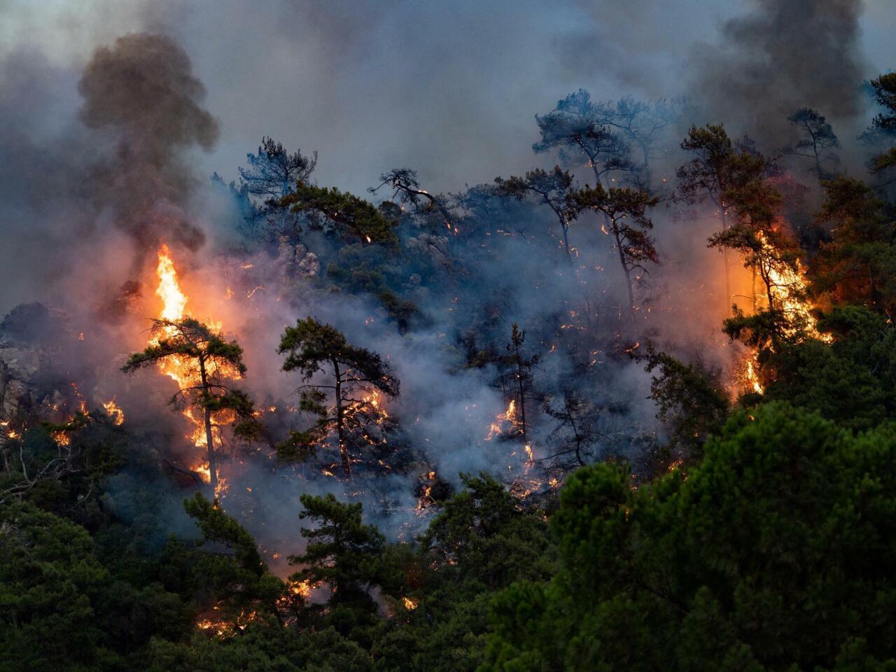 Cuantos Grados Centigrados Son 400 Grados Fahrenheit Código rojo": el planeta llegó a un calentamiento no visto en 2000 años