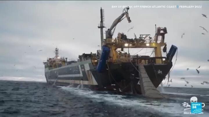 Scientists, activists call for ban on bottom trawling ahead of UN ocean summit