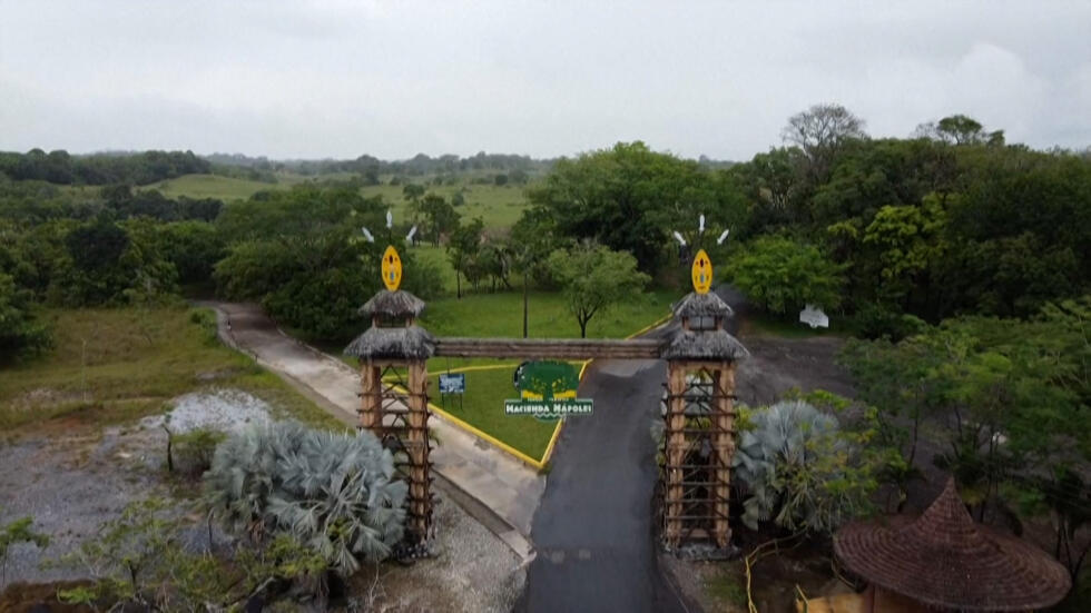 Archivo: En Colombia, parte de la finca de Pablo Escobar pasa a manos de víctimas del conflicto armado.