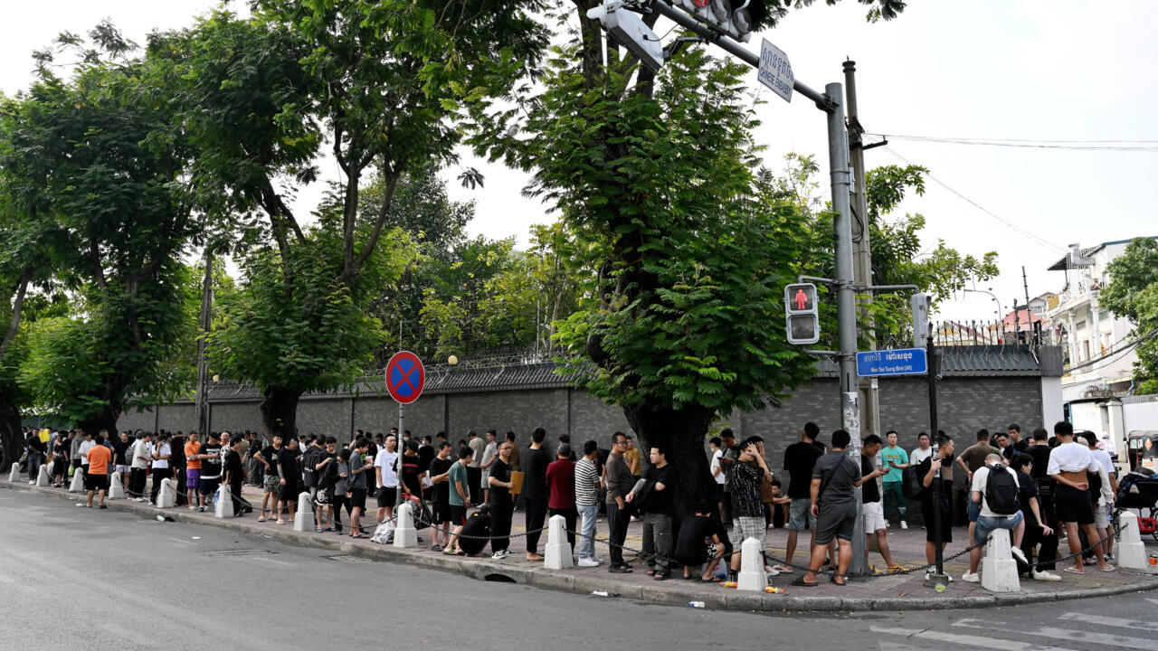 Over 400 Indonesians 'released' by Cambodian scam networks: ambassador