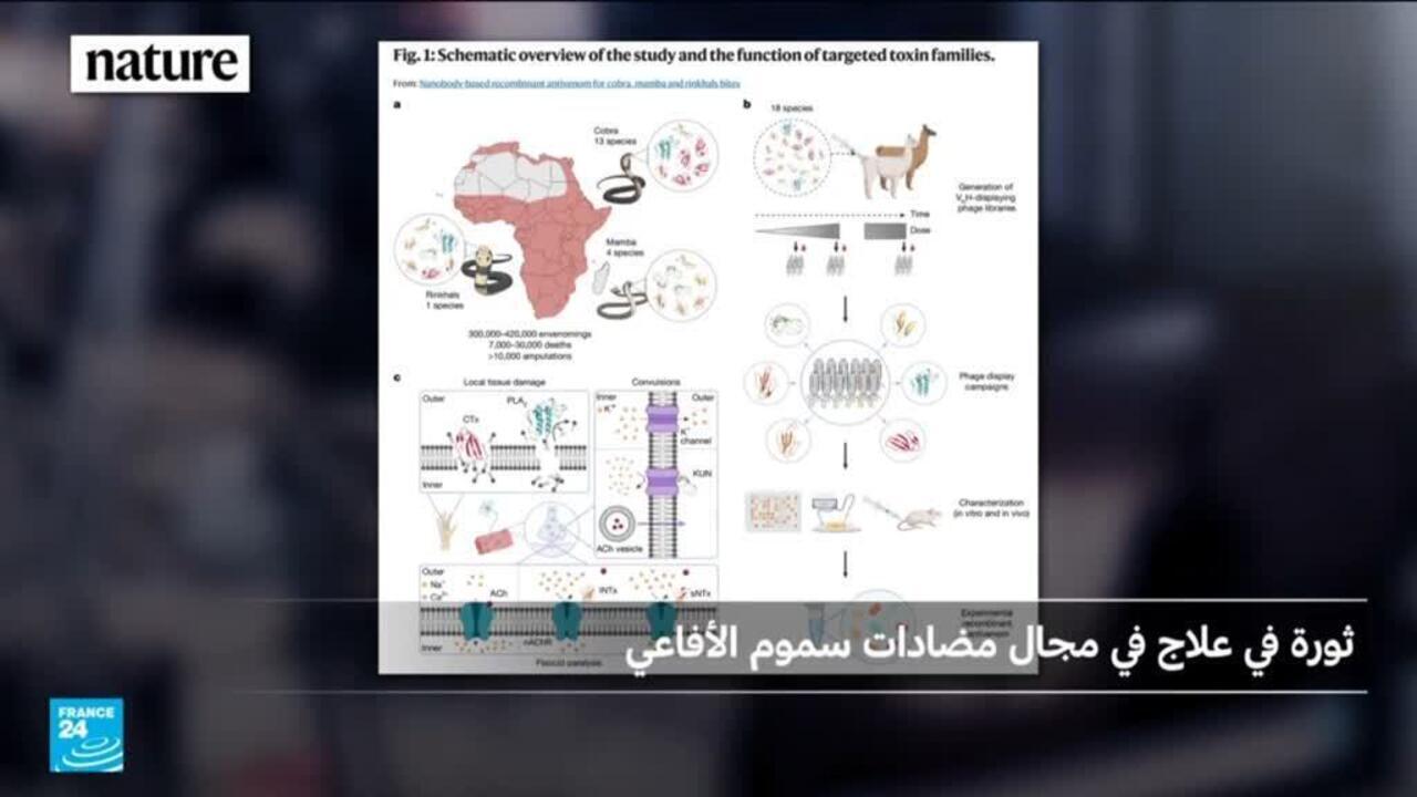 مضاد غير مسبوق يقاوم 17 من سموم 18 عشر من الأفاعي المعروفة عالميا
