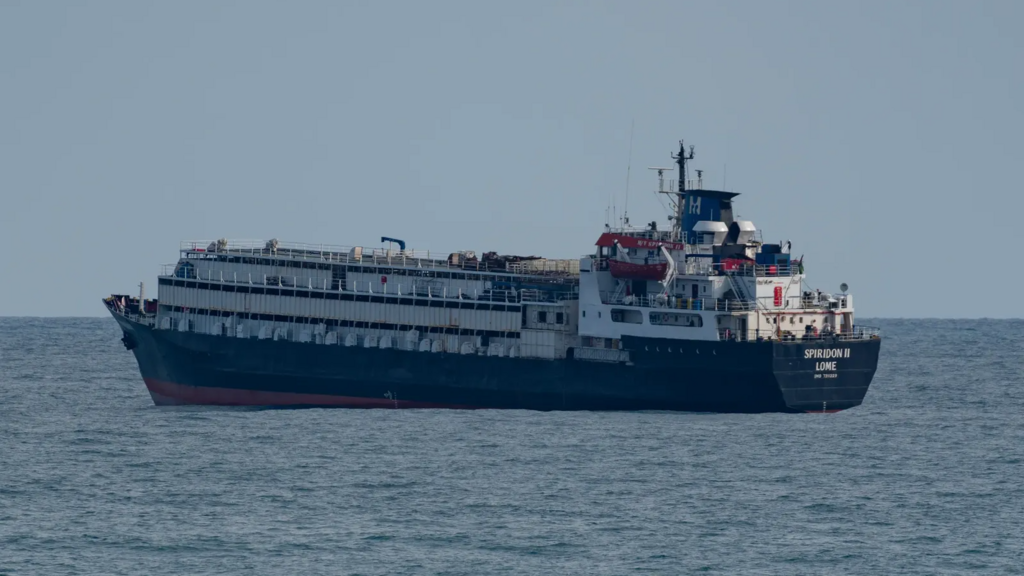 Que sait-on du "cargo de l'horreur", bloqué deux mois en mer avec 2 900 vaches à son bord ?