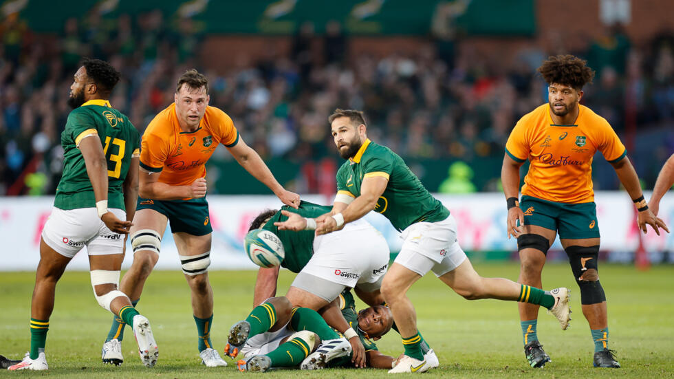 Springboks name four scrumhalves to play Romania