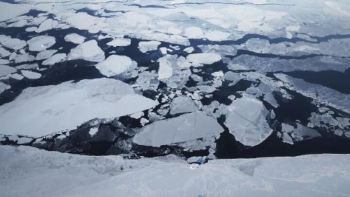 Arctic sea ice shrunk this summer to its second-lowest level ever. 