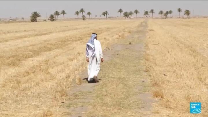In Iraq, drought threatens water supply and ancient heritage