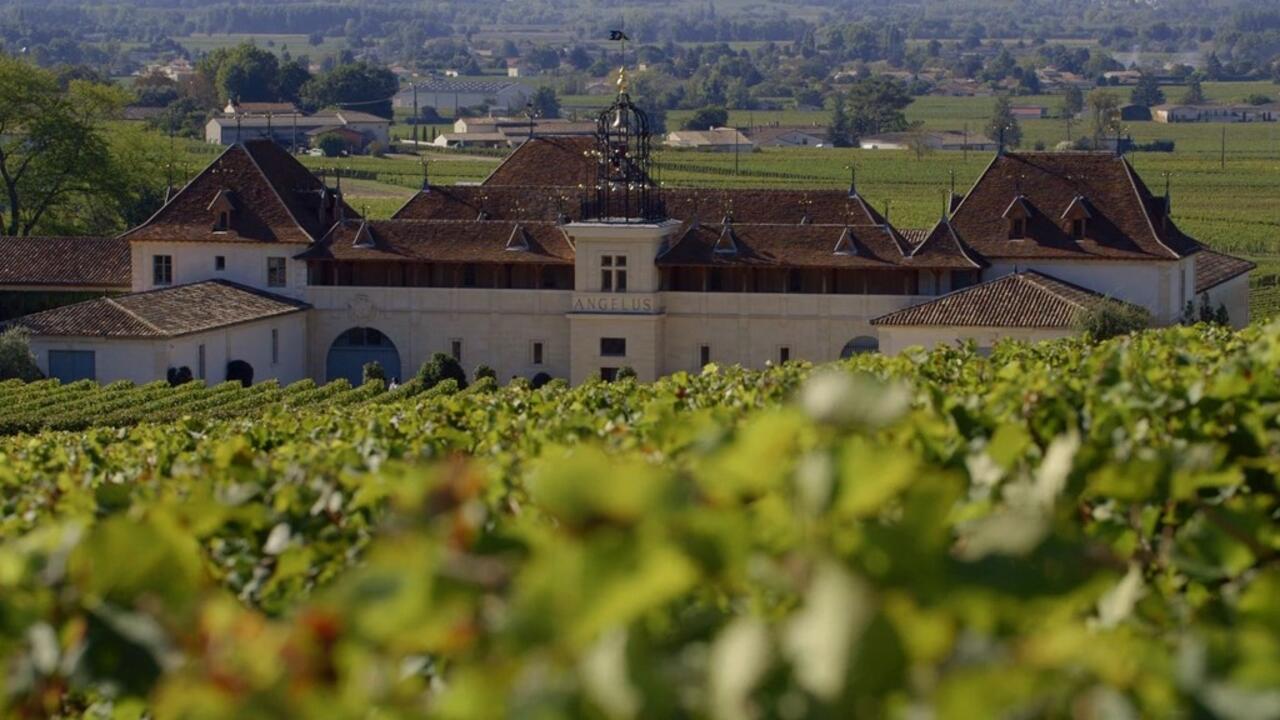 SaintÉmilion à la découverte d’un vignoble d’exception Vous êtes ici