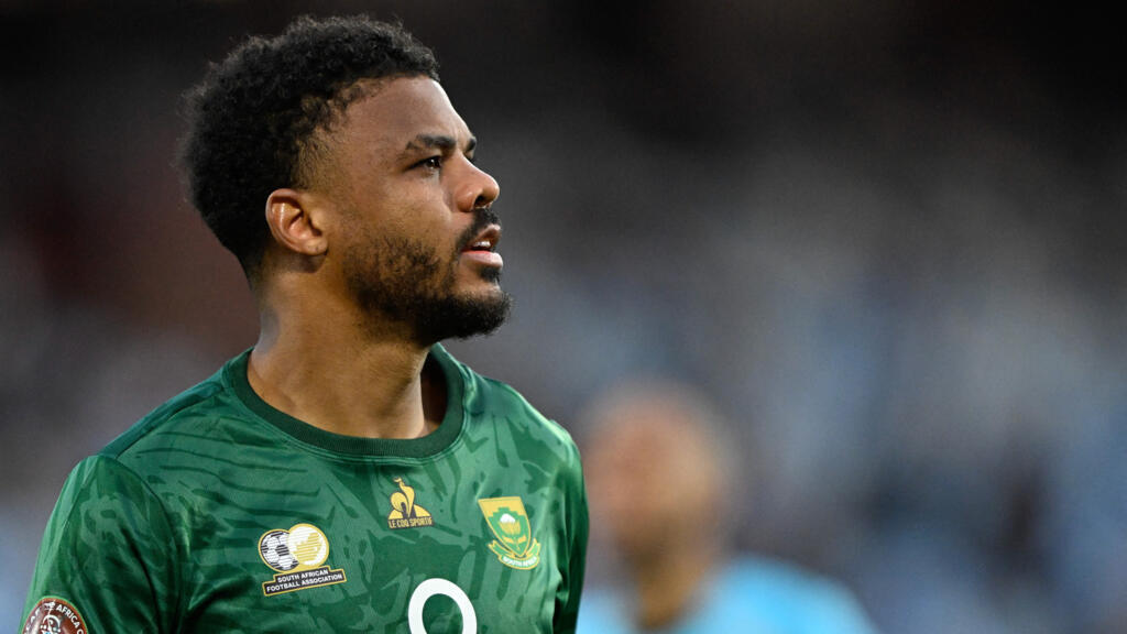 L'Afrique du Sud se qualifie dans la douleur face à de valeureux Zimbabwéens