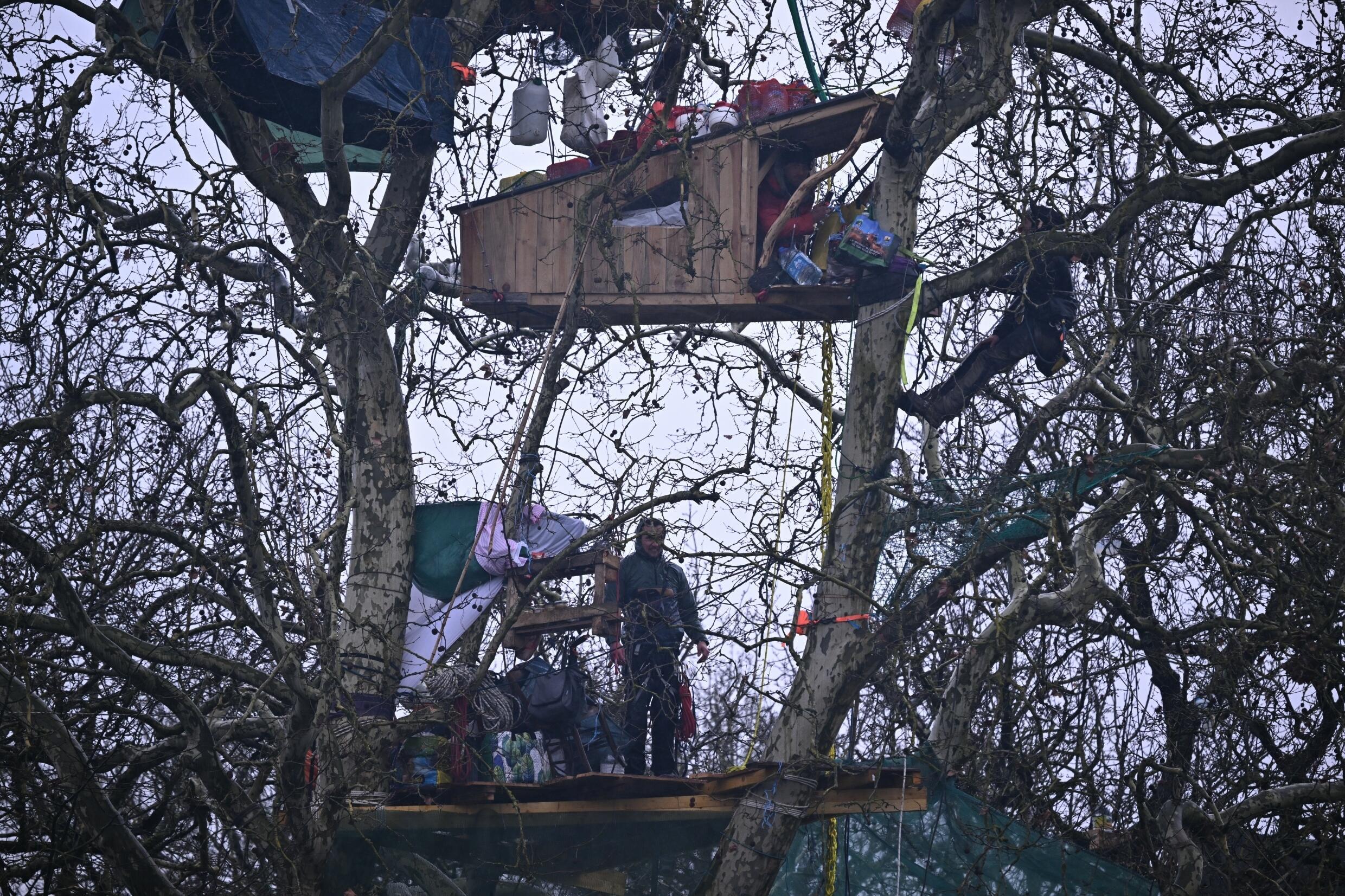 Des cabanes de fortune dans les arbres du campement de la ZAD lors d'une manifestation contre la construction de l'autoroute A69, le 10 février 2024 à Saïx, dans le Tarn.