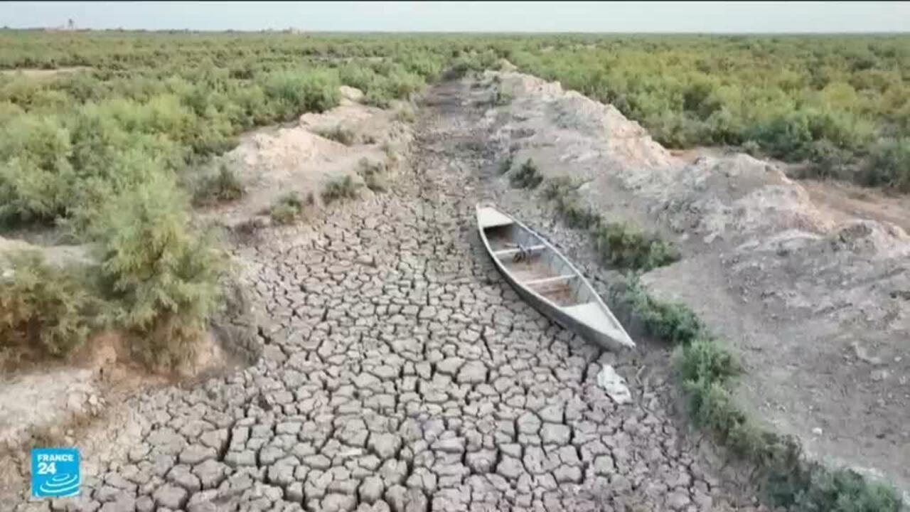 العراق: الجفاف المستمر وندرة المياه في الأهوار تهدد مصادر الحياة ورزق السكان