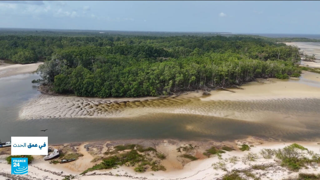 الأمازون على خط النار: "الذهب الأسود" يهدد الغابات والمجتمعات المحلية