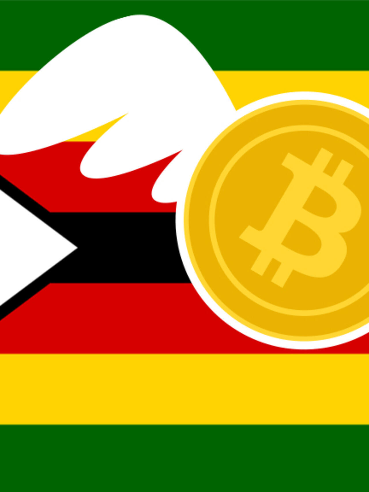 La folle envolée du bitcoin dans un Zimbabwe en crise - France 24