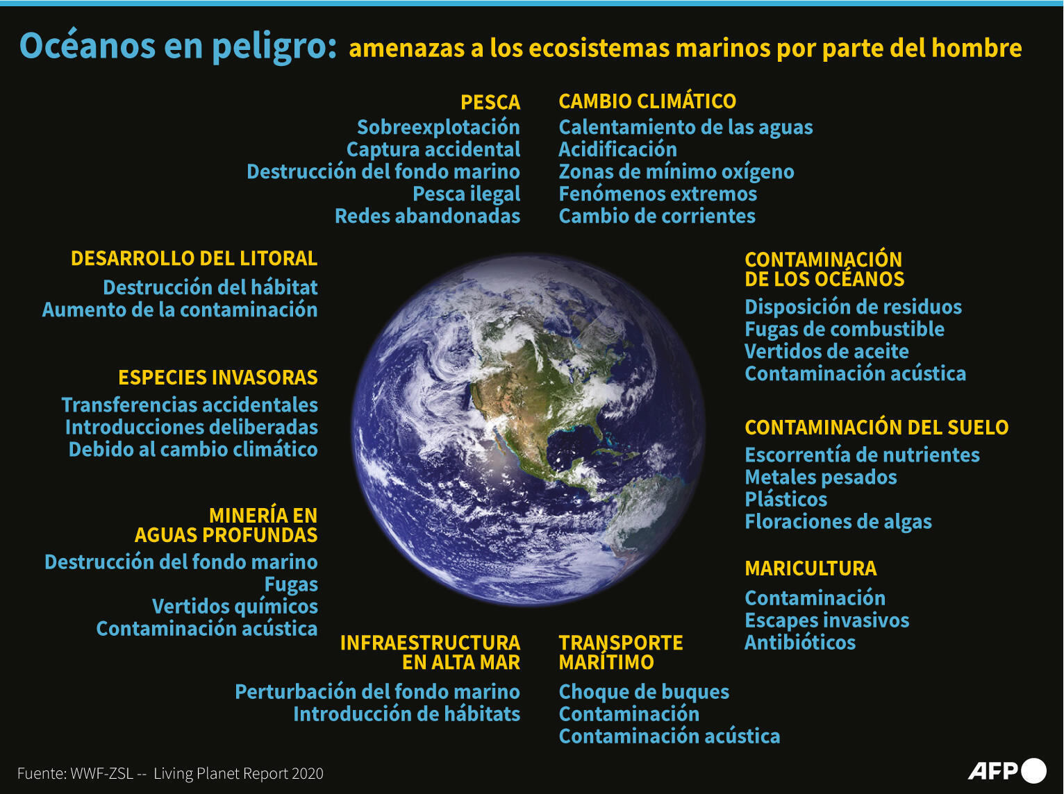 Océanos en peligro: amenazas a los ecosistemas marinos por parte del hombre