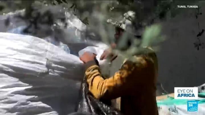 Tunisia’s “barbechas”: the invisible workforce behind recycling