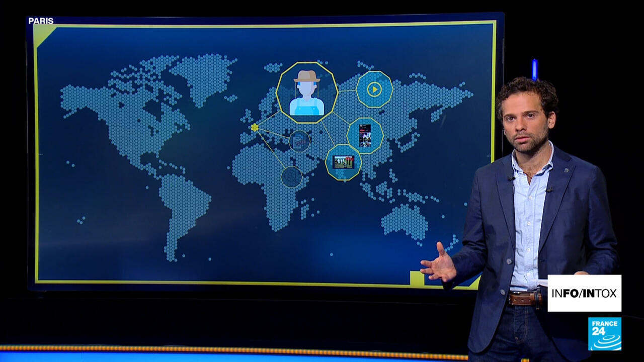 Crise agricole : la colère des éleveurs francais renforcée par les fake news