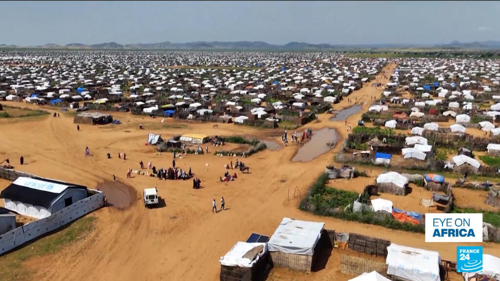 2025 in Africa: The year in review