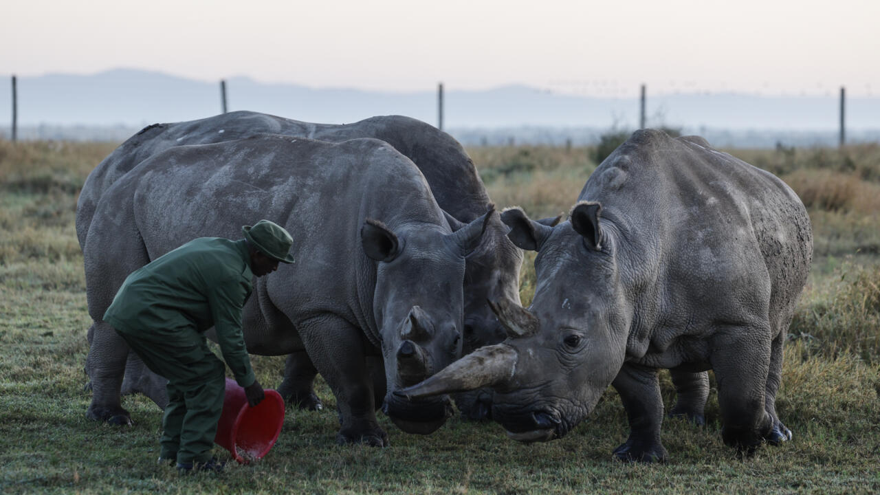 أوزبكستان تستضيف مؤتمرا عالميا لمناقشة مقترحات تتعلق بالحياة البرية