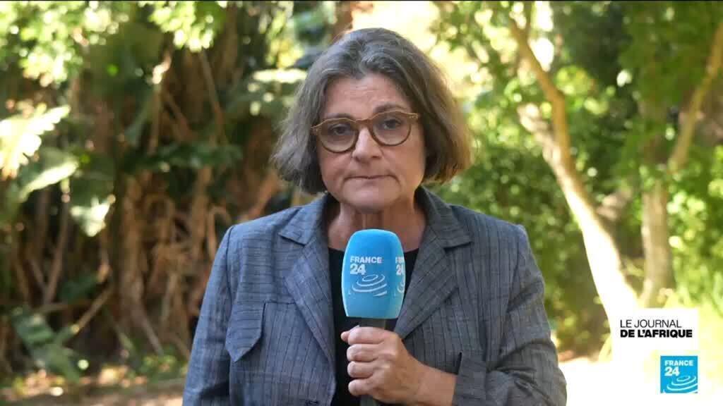 153 Palestiniens arrivent à Johannesburg, personne ne sait qui a affrété l'avion