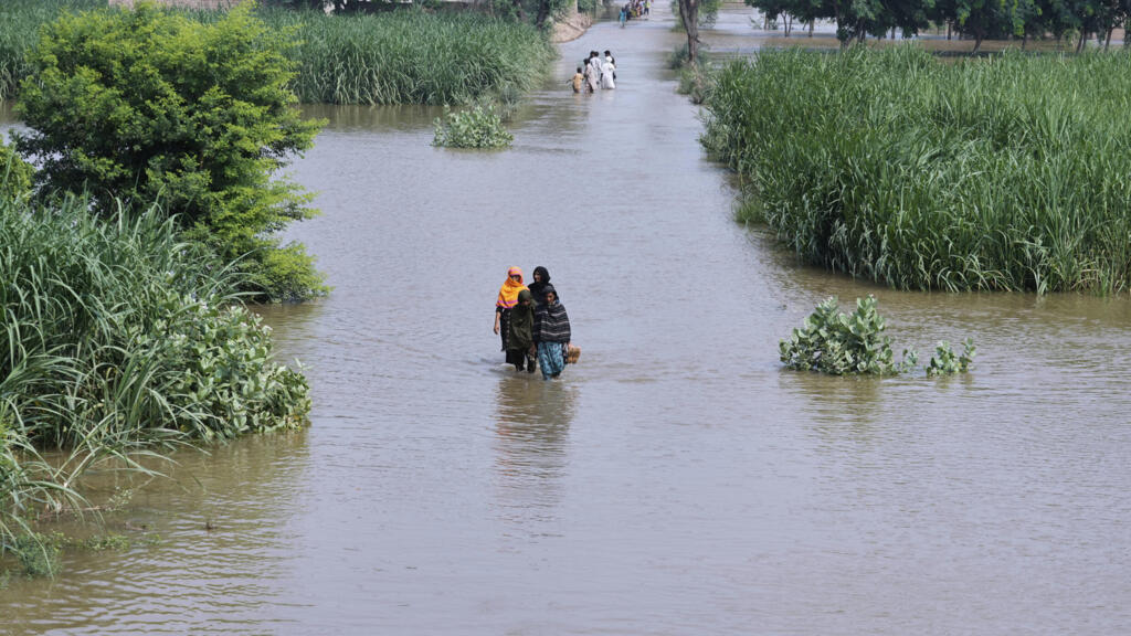 Des paysans du Pakistan engagent un bras de fer avec deux pollueurs allemands