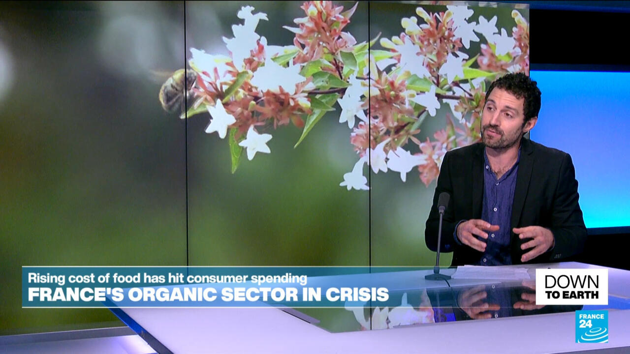 France's organic sector in crisis: Is the end in sight?