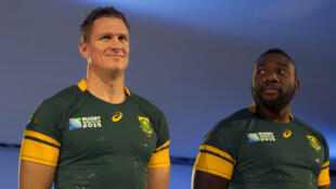 2015 springbok jersey