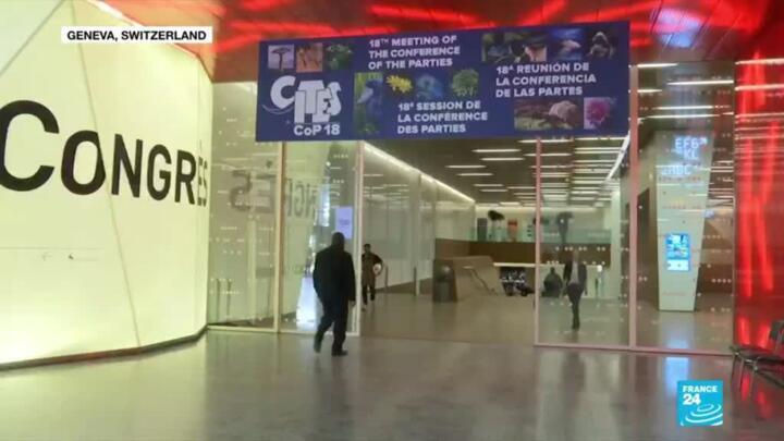 UN CITES conference agrees to limit sales of African elephants to zoos