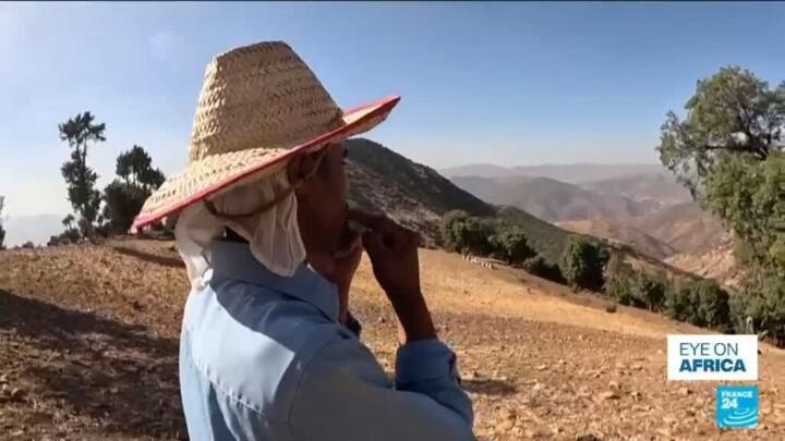 Morocco: In Azilal region, locals fight to preserve herders' ancestral whistled language