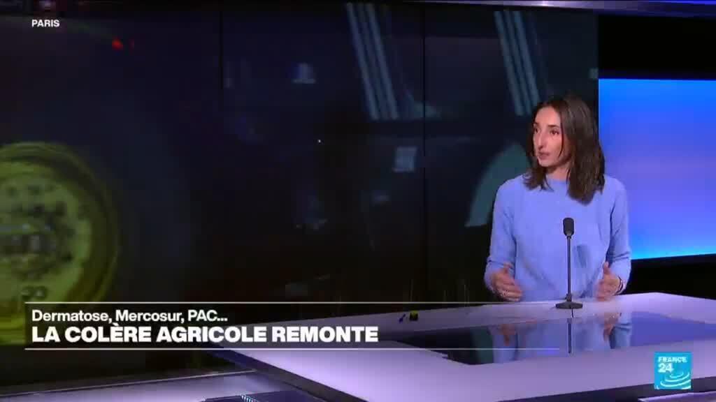 Dermatose nodulaire contagieuse : les actions se multiplient dans le Sud-Ouest