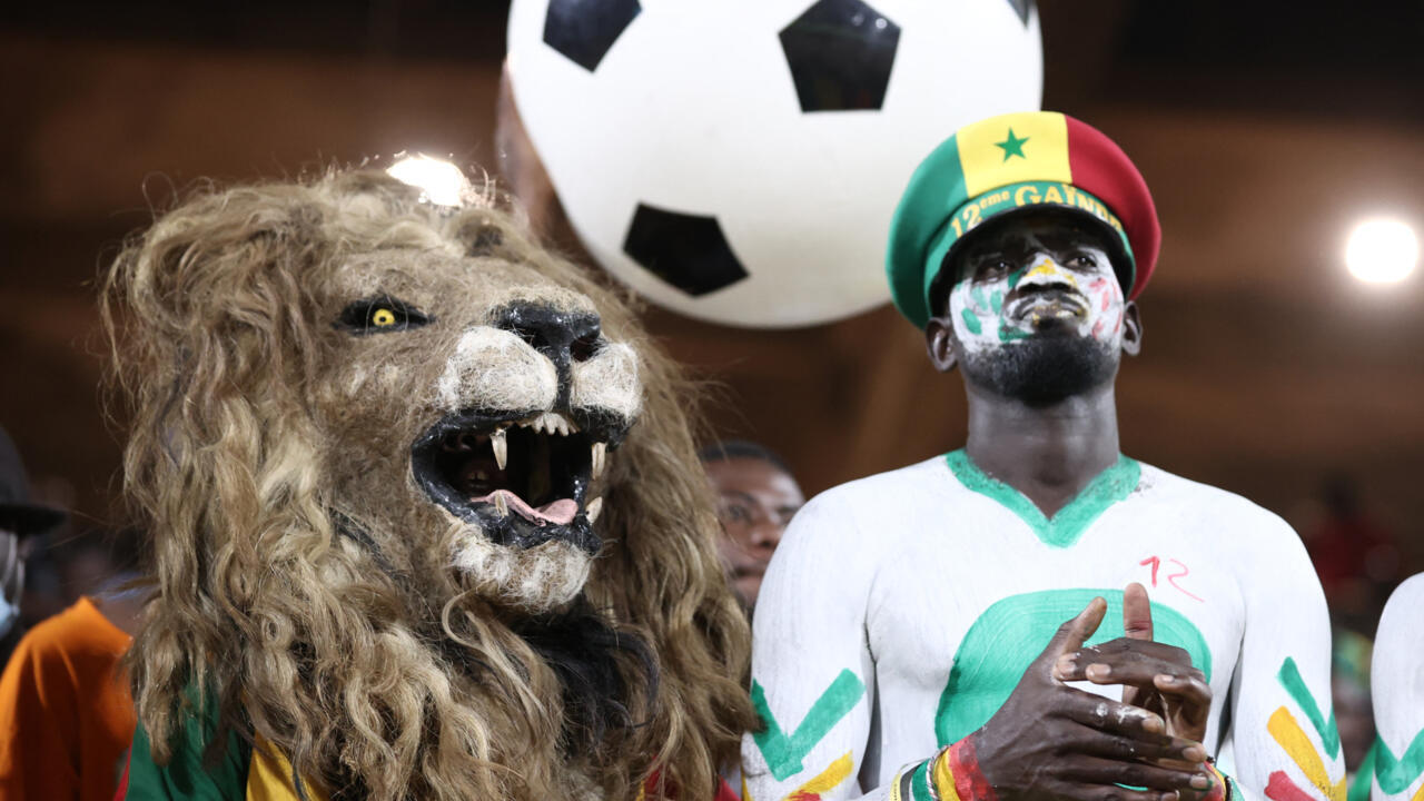 CAN 2025 : Lions, Léopards, Grues... Les surnoms des 24 équipes participantes