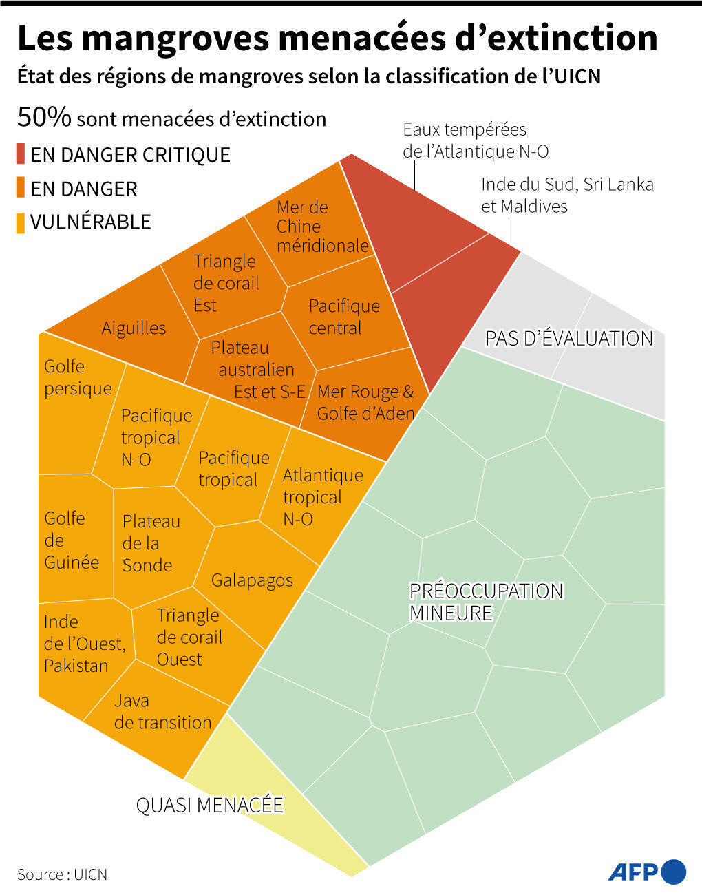 D'après la liste rouge de l'UICN, 50% des mangroves dans le monde sont aujourd'hui menacées d'extinction
