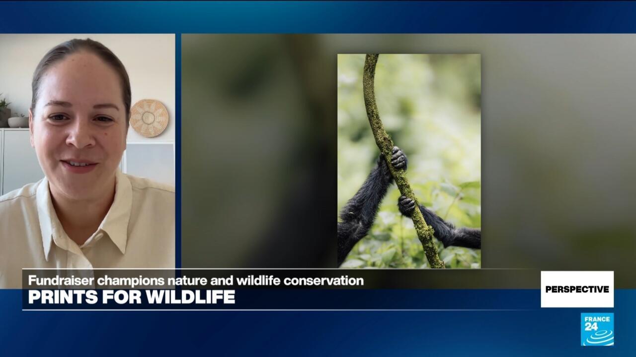 Prints for Wildlife photography project co-founders on their 'message of hope'