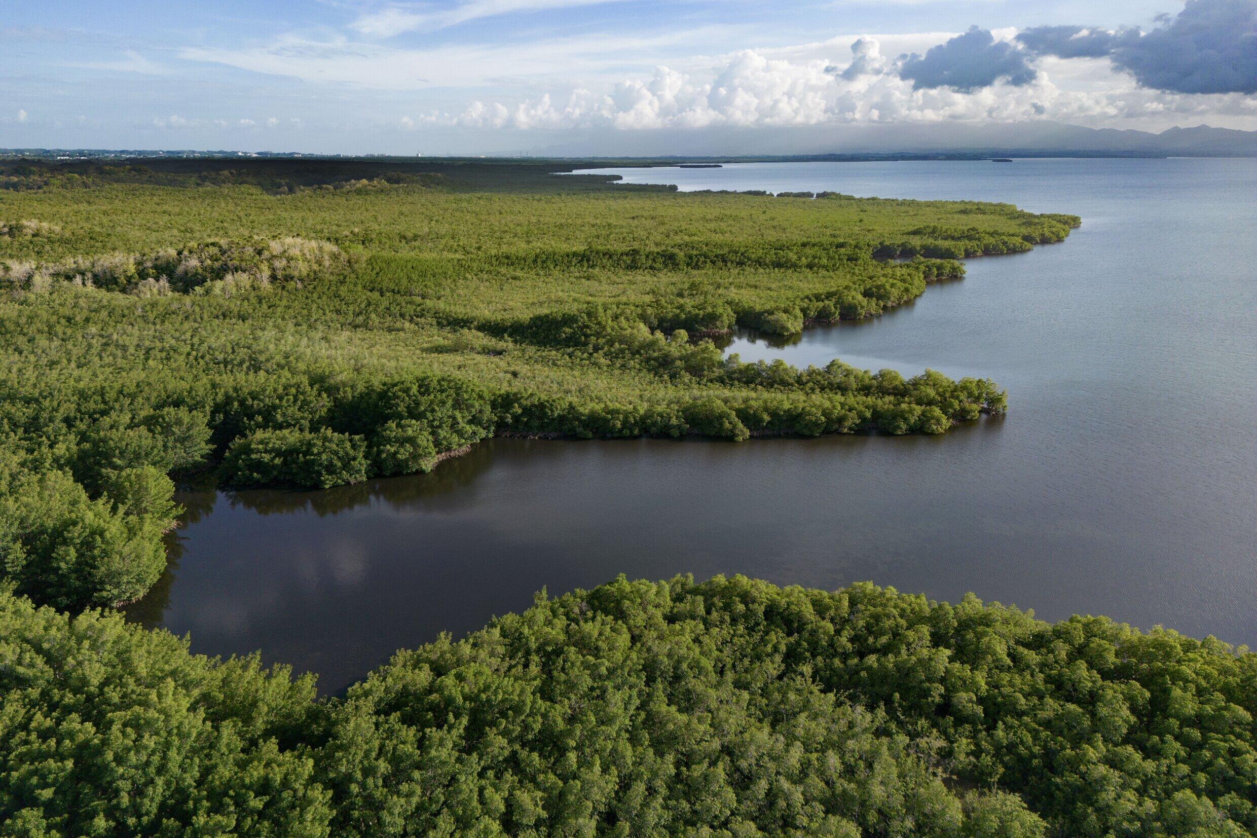Vue aérienne de la mangrove, près de Morne-à-l'eau, le 18 avril 2023 en Guadeloupe