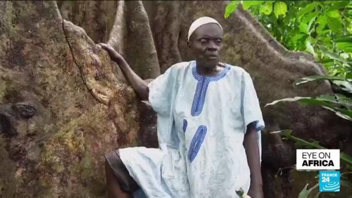 Urbanisation threatens sacred Benin forests of Voodoo believers