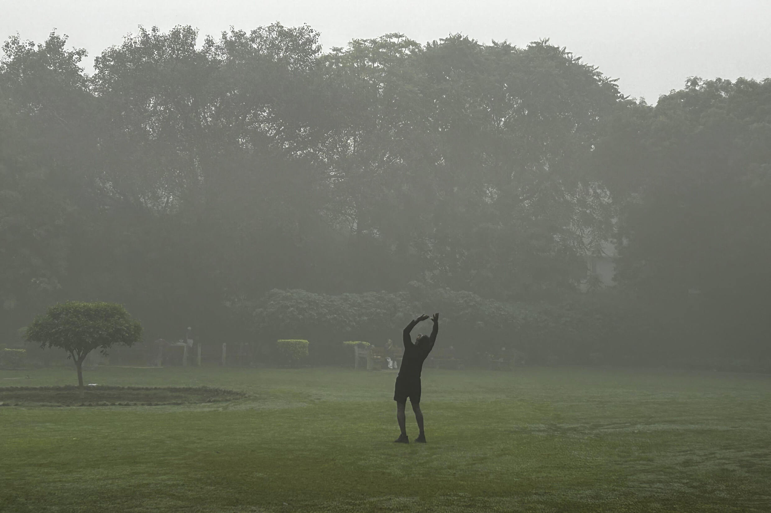 'Air-pocalypse': New Delhi battles city-wide pollution emergency