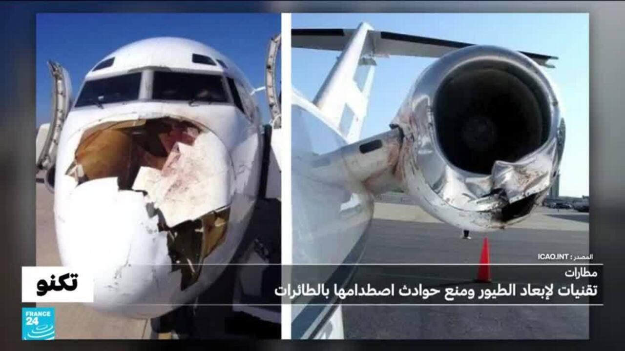 مدفع الدجاج، رصاص غير قاتل، ردارات...تقنيات تعتمدها المطارات للحد من حوادث اصطدام الطائرات بالطيور
