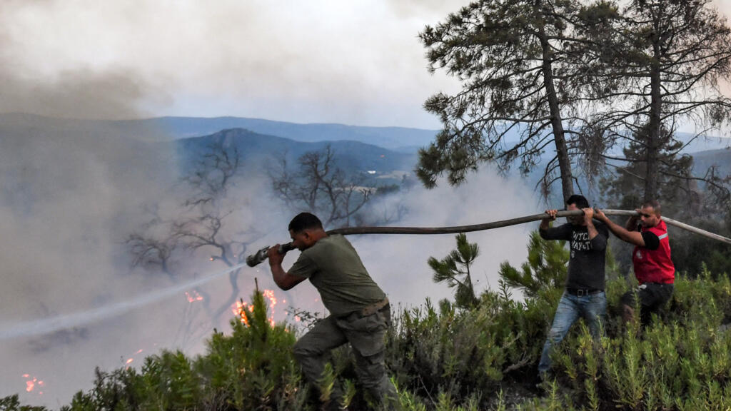 Algerian wildfires kill more than 30 people amid blistering heatwave