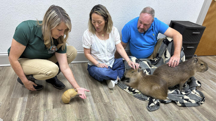 Stephanie Angel, left, shows off an armadillo to visitors at the Capybara Cafe in St. Augustine, Florida, on March 14, 2025.