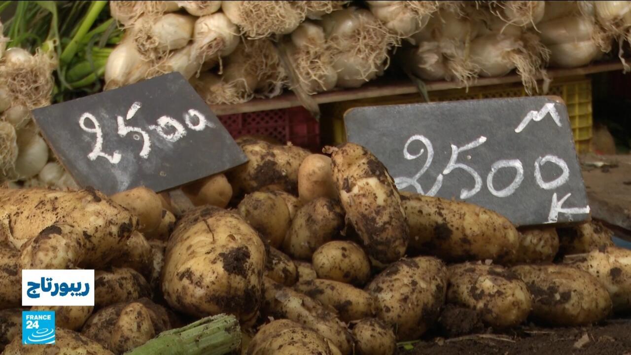 أزمة البطاطا في تونس.. ماذا نعرف عنها؟