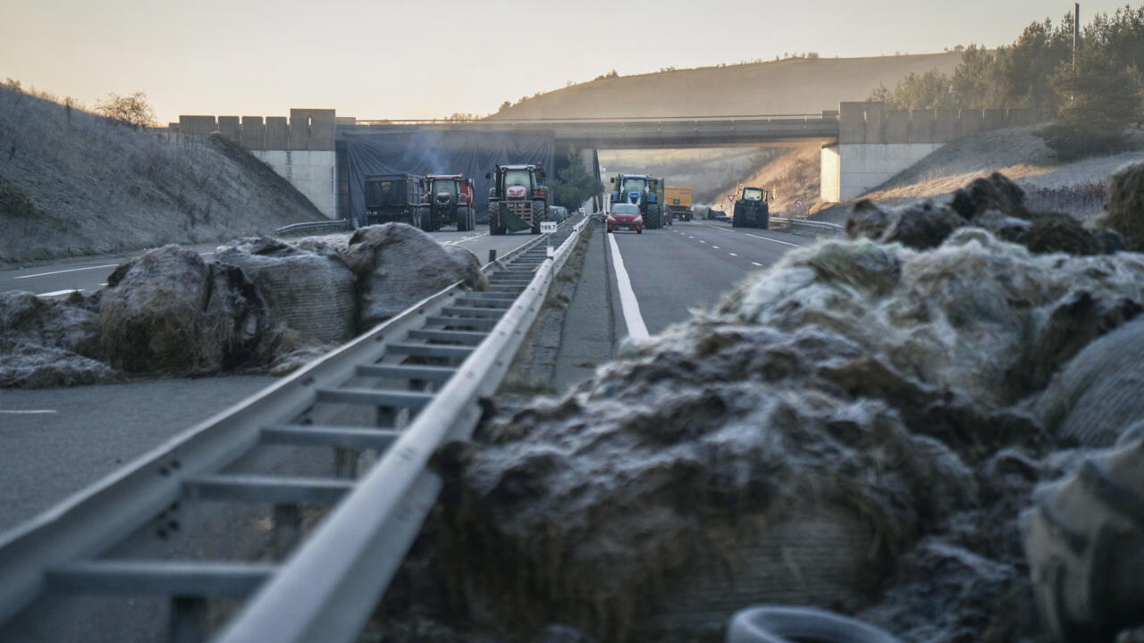 Epidémie bovine en France : la ministre de l’Agriculture sous pression des éleveurs du Sud-Ouest