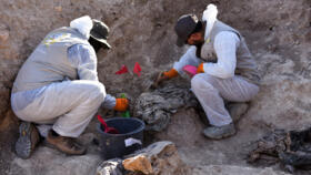 Workers dig out human remains at the Khasfa site near the northern Iraqi city of Mosul.