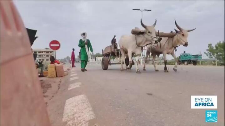 'They must reopen the border': Local communities left struggling amid Niger and Benin tensions