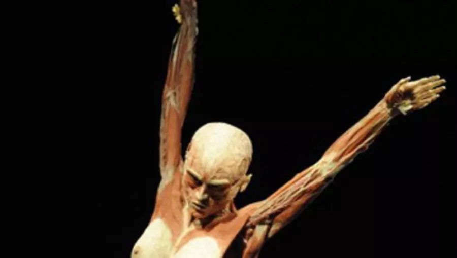 Un Coit Macabre Fait Scandale A Berlin