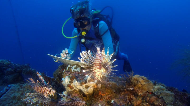 Saint-Pierre: Traces of a volcanic past