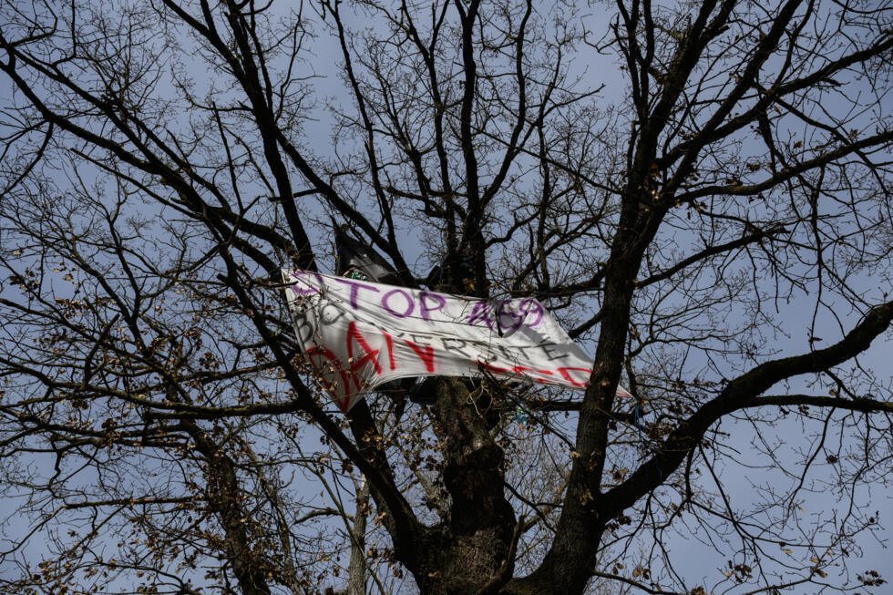 Une banderole demandant l'arrêt du chantier de l'A69 accrochée dans un arbre occupé par un militant, le 27 février 2025 à Castres.