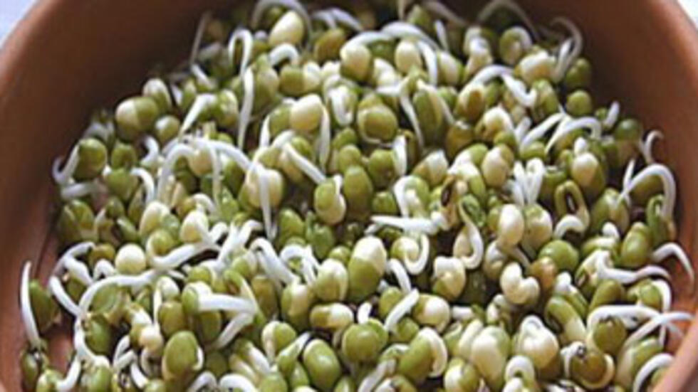 German uturn on bean sprouts in E.coli outbreak