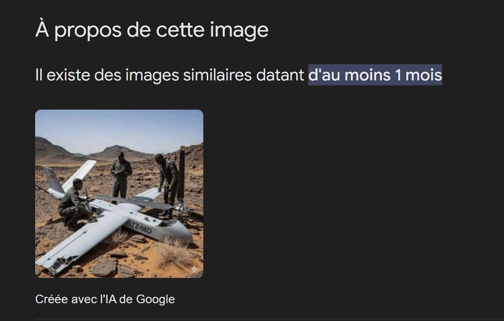 La photo d'illustration de Maliactu.net a été également générée par IA. Source Maliactu.net.