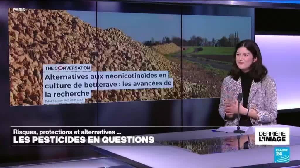 Derrière l'image : risques, protections et alternatives... Les pesticides en questions