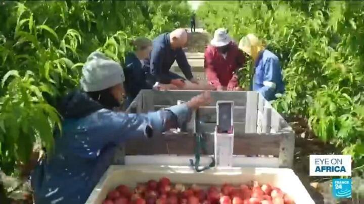 China and South Africa deepen trade ties with new export deal