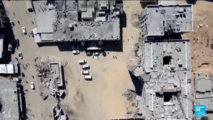 Flora and fauna also victims in Gaza, threatening ecological balance